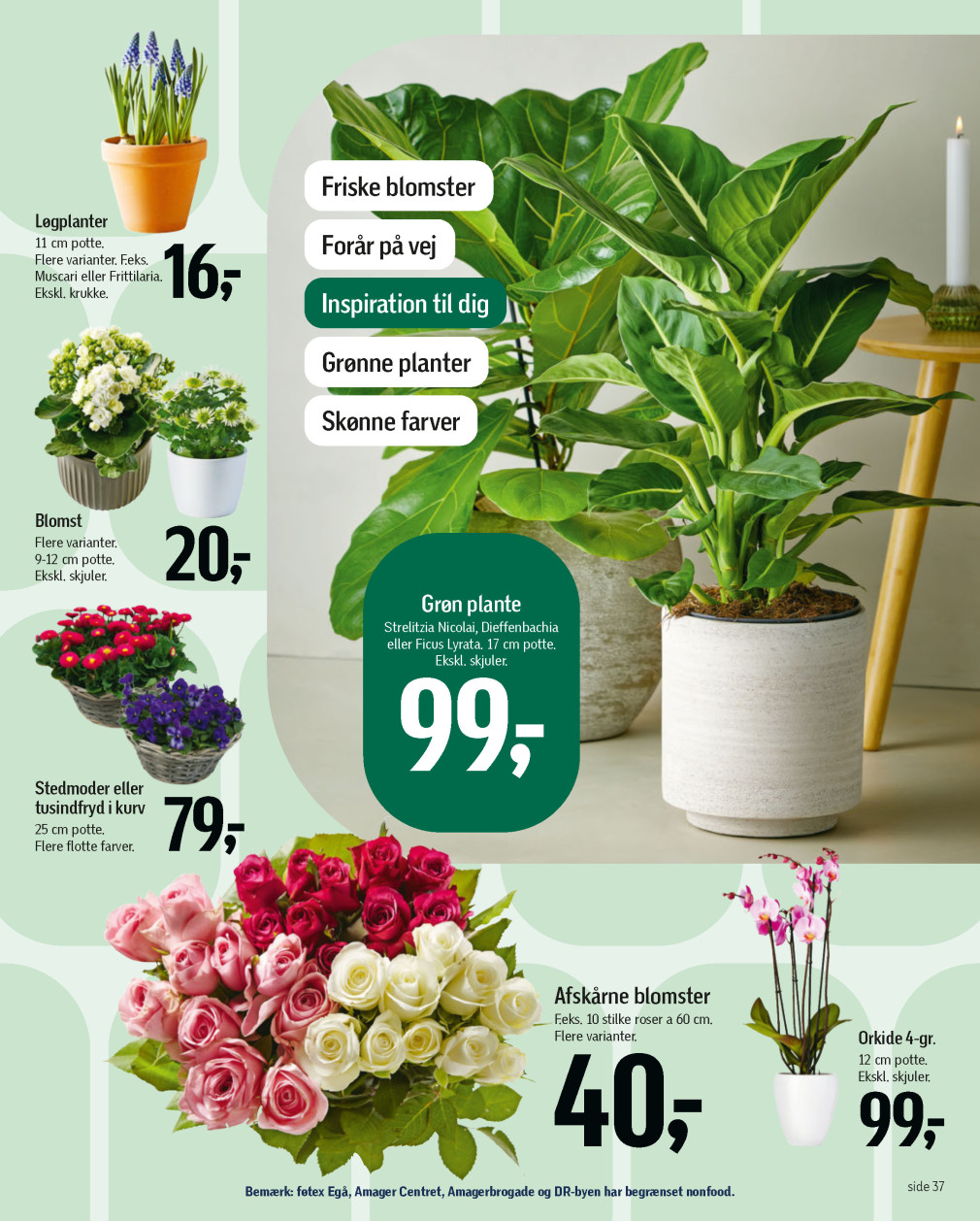 føtex tilbudsavis fra 28.02.2025 Side.44 