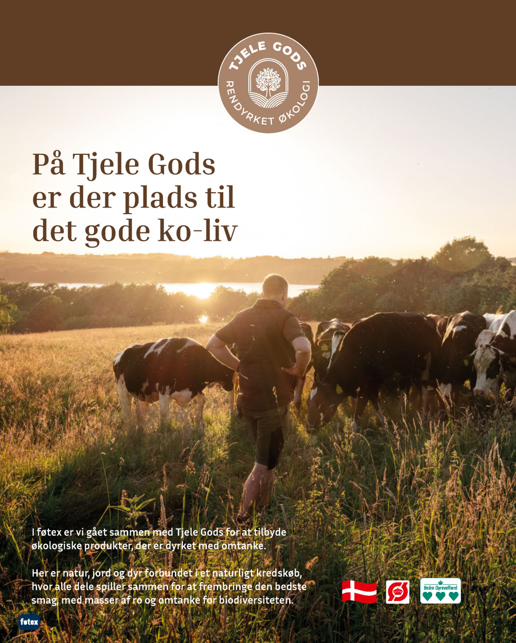 føtex tilbudsavis fra 17.10.2025 Side.16 