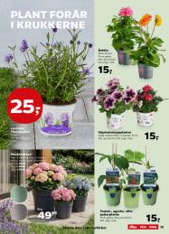 Kvickly tilbudsavis fra 24.04.2026 Side.15 