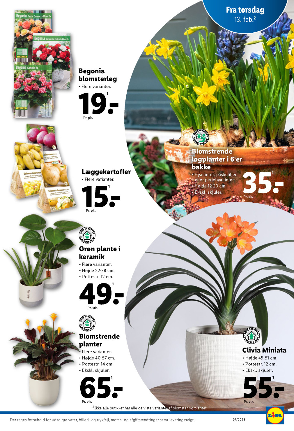 Lidl tilbudsavis fra 09.02.2025 Side.31 