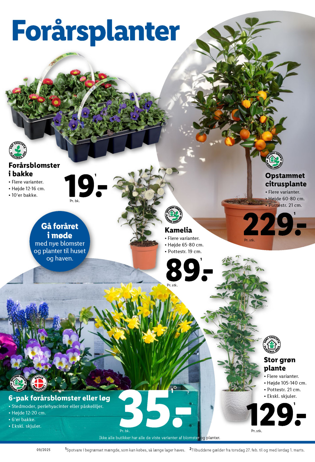 Lidl tilbudsavis fra 23.02.2025 Side.34 