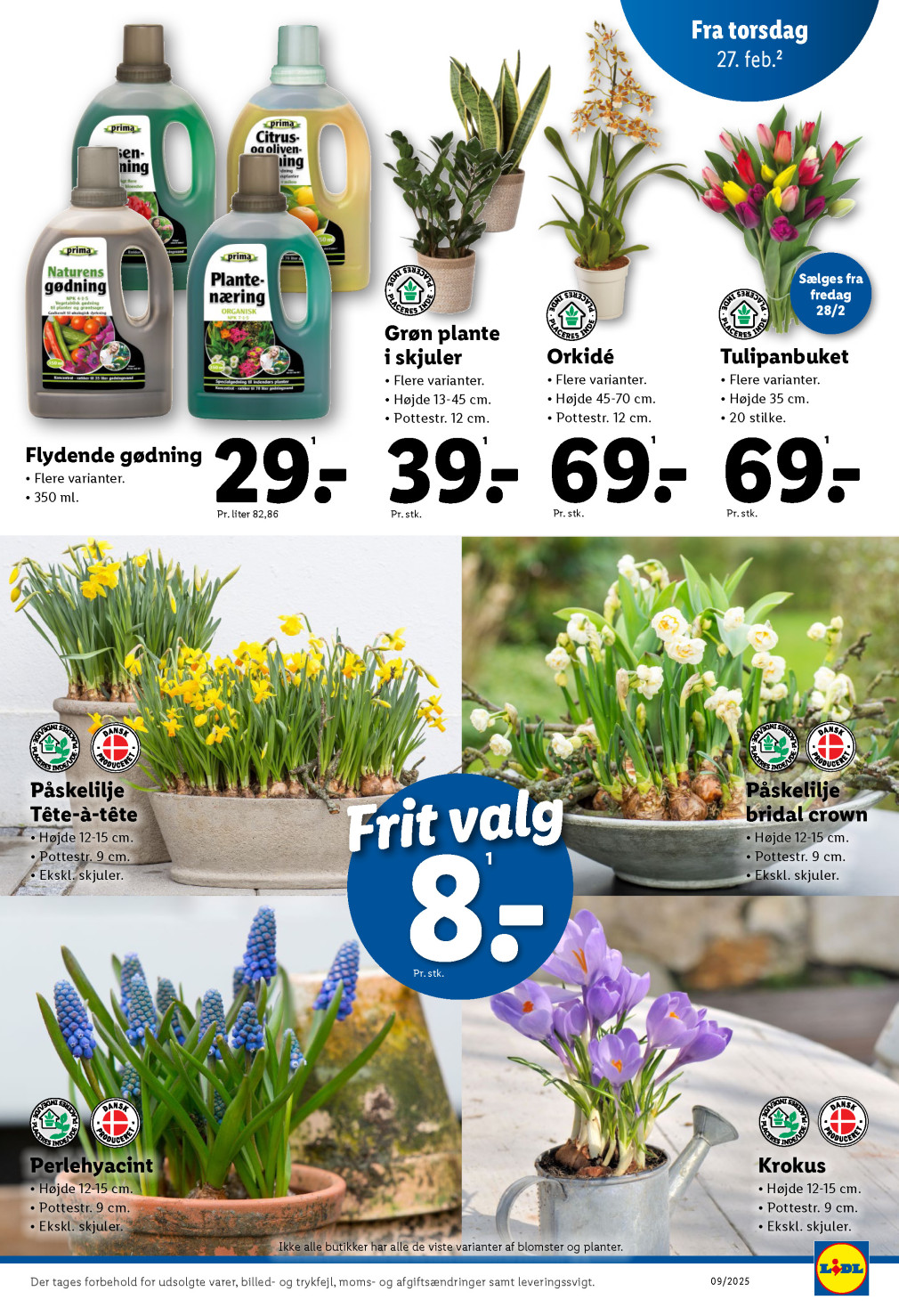 Lidl tilbudsavis fra 23.02.2025 Side.35 
