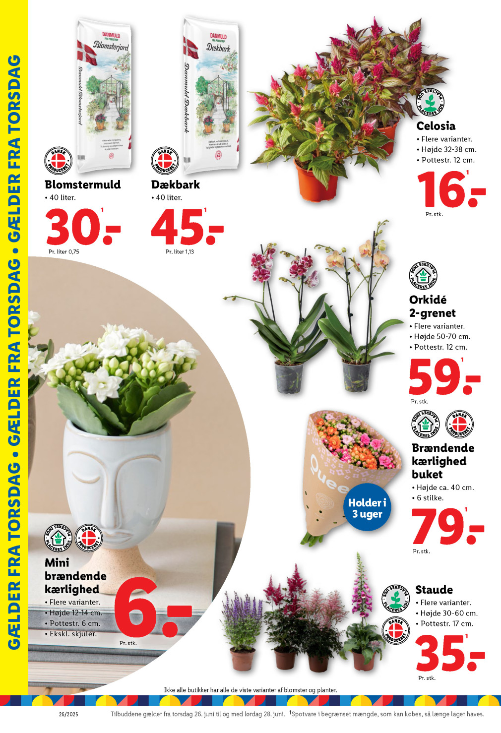 Lidl tilbudsavis fra 22.06.2025 Side.41 