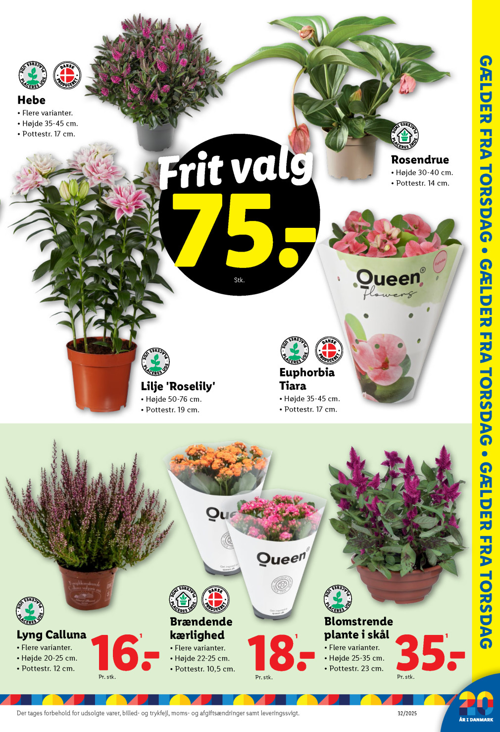 Lidl tilbudsavis fra 03.08.2025 Side.37 