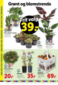 Lidl tilbudsavis fra 03.08.2025 Side.36 