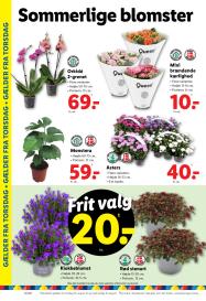 Lidl tilbudsavis fra 10.08.2025 Side.24 