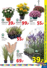 Lidl tilbudsavis fra 10.08.2025 Side.25 