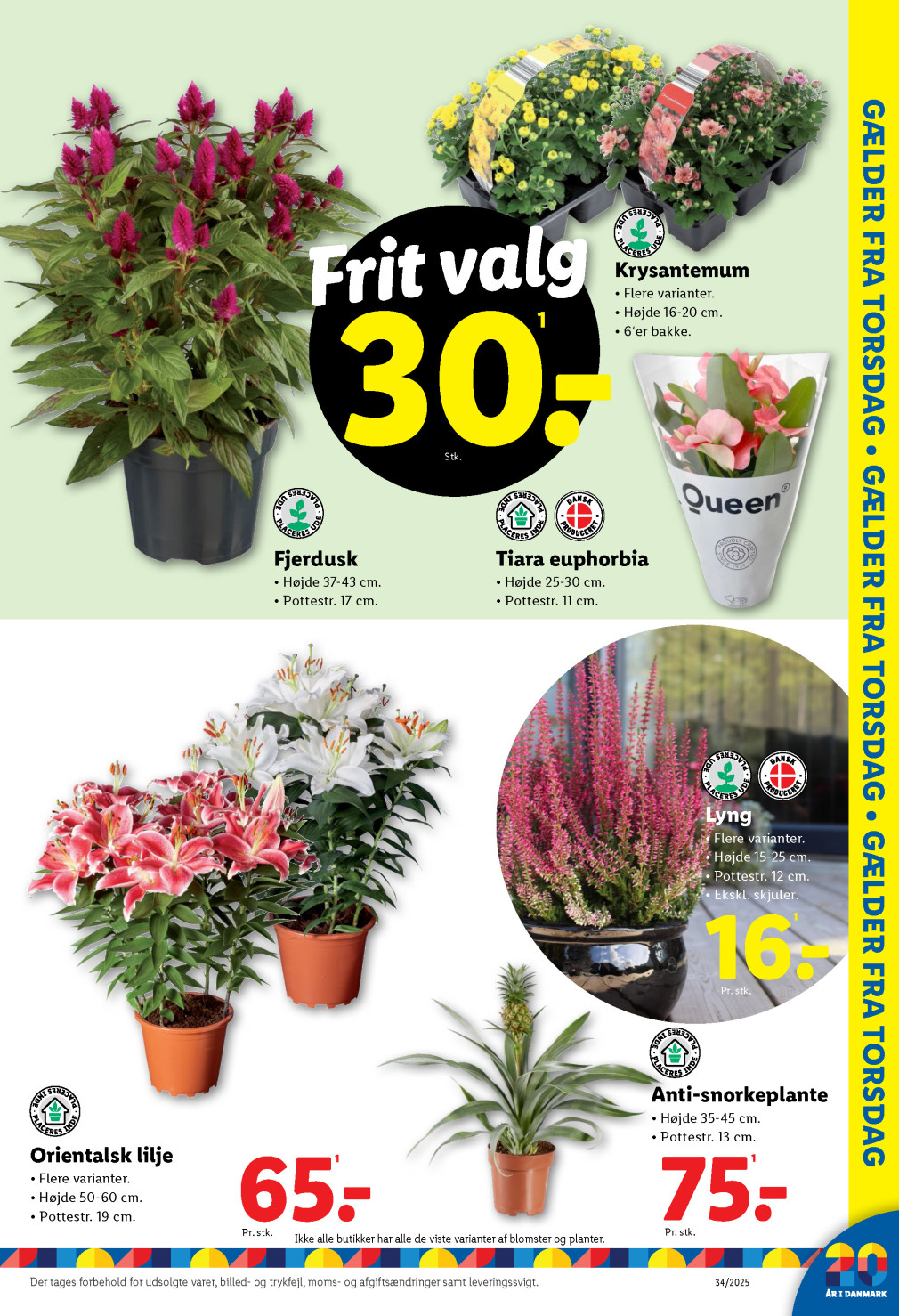 Lidl tilbudsavis fra 17.08.2025 Side.31 