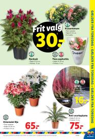 Lidl tilbudsavis fra 17.08.2025 Side.31 