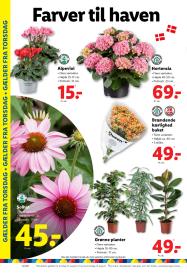 Lidl tilbudsavis fra 17.08.2025 Side.32 