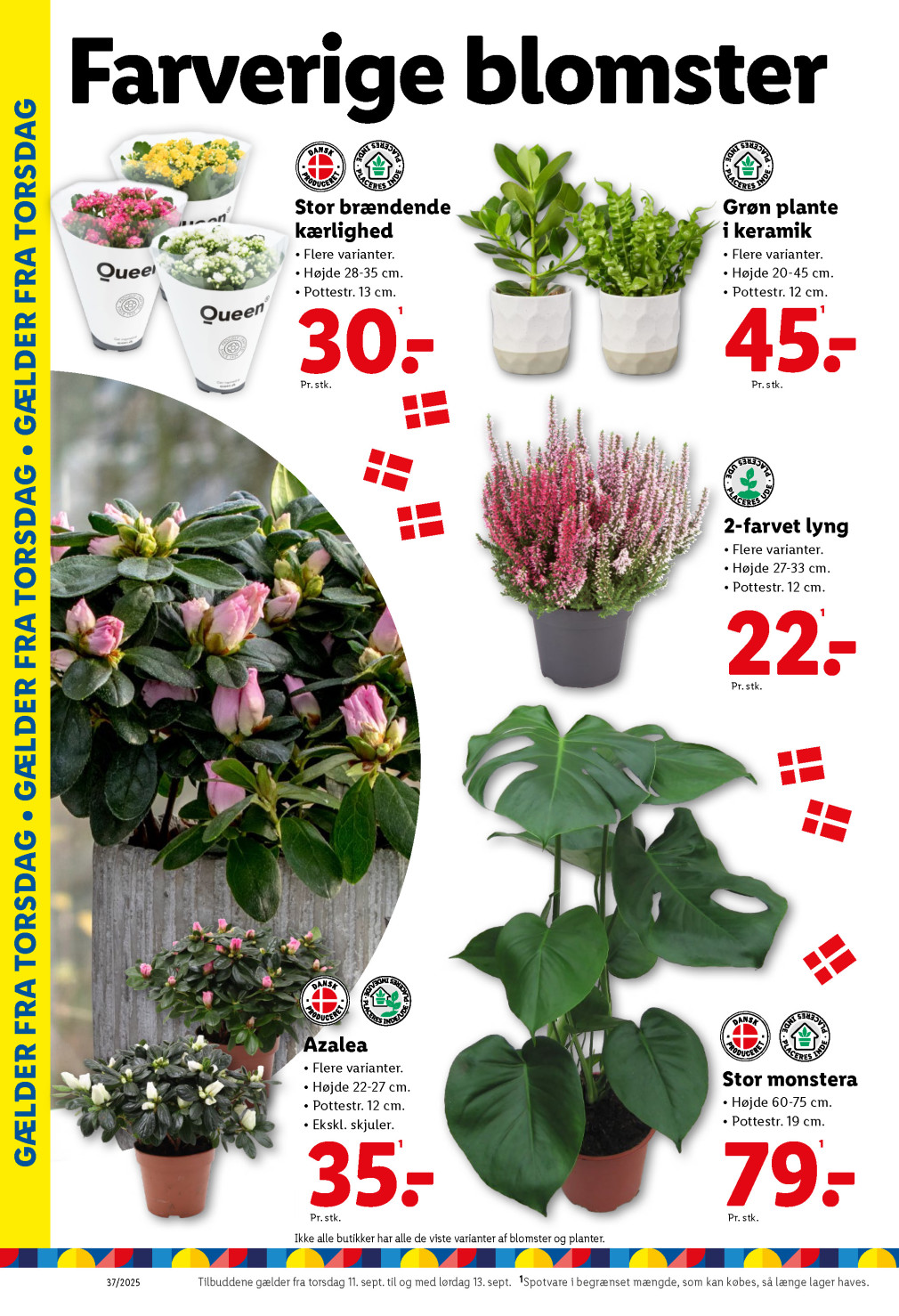 Lidl tilbudsavis fra 07.09.2025 Side.26 