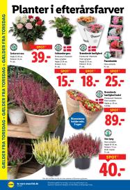 Lidl tilbudsavis fra 28.09.2025 Side.30 