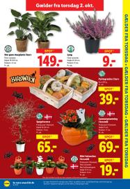 Lidl tilbudsavis fra 28.09.2025 Side.31 