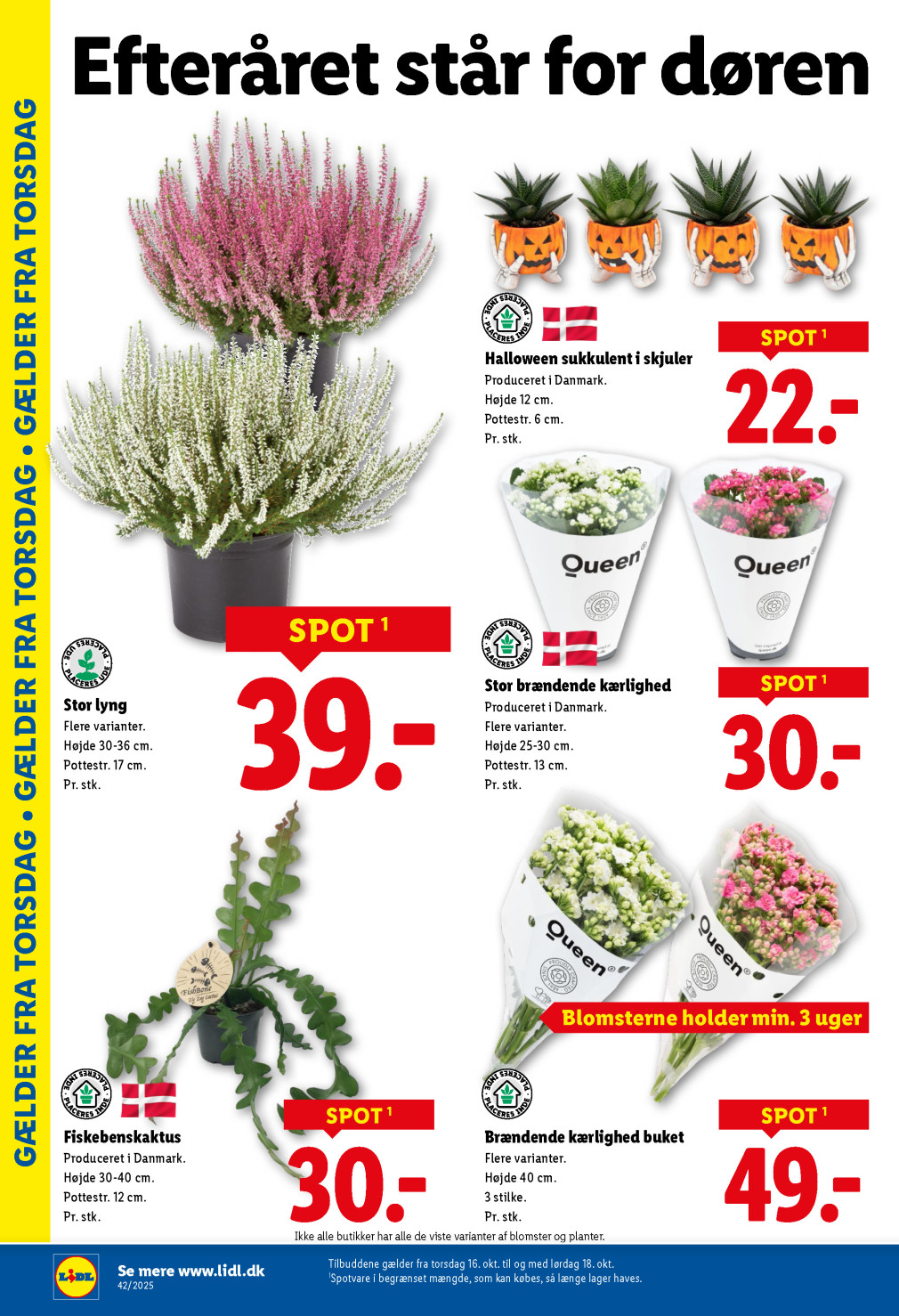 Lidl tilbudsavis fra 12.10.2025 Side.28 