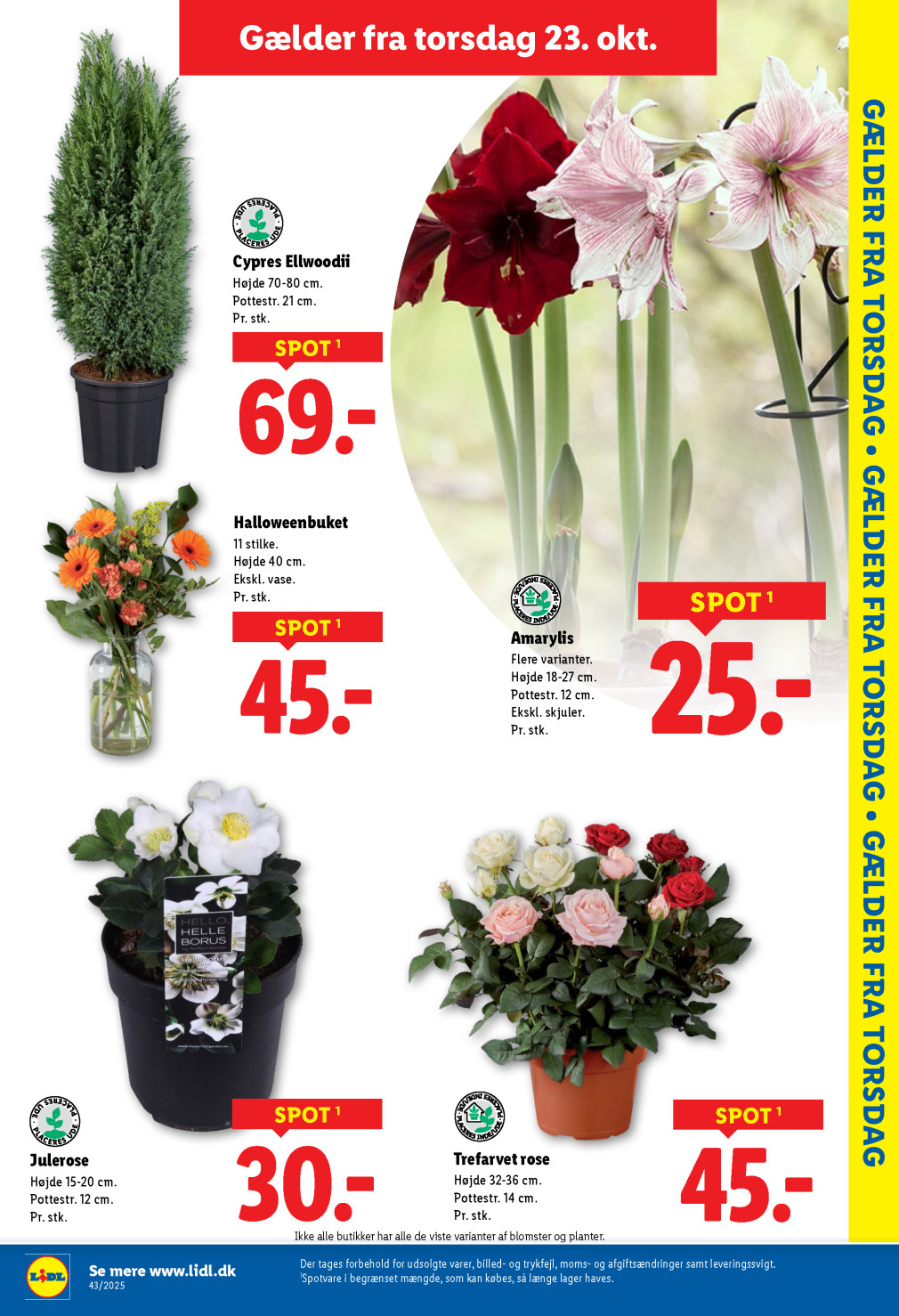 Lidl tilbudsavis fra 19.10.2025 Side.31 