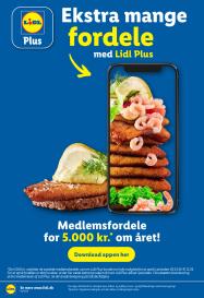Lidl tilbudsavis fra 19.10.2025 Side.29 