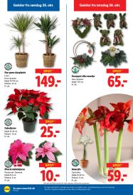 Lidl tilbudsavis fra 26.10.2025 Side.29 