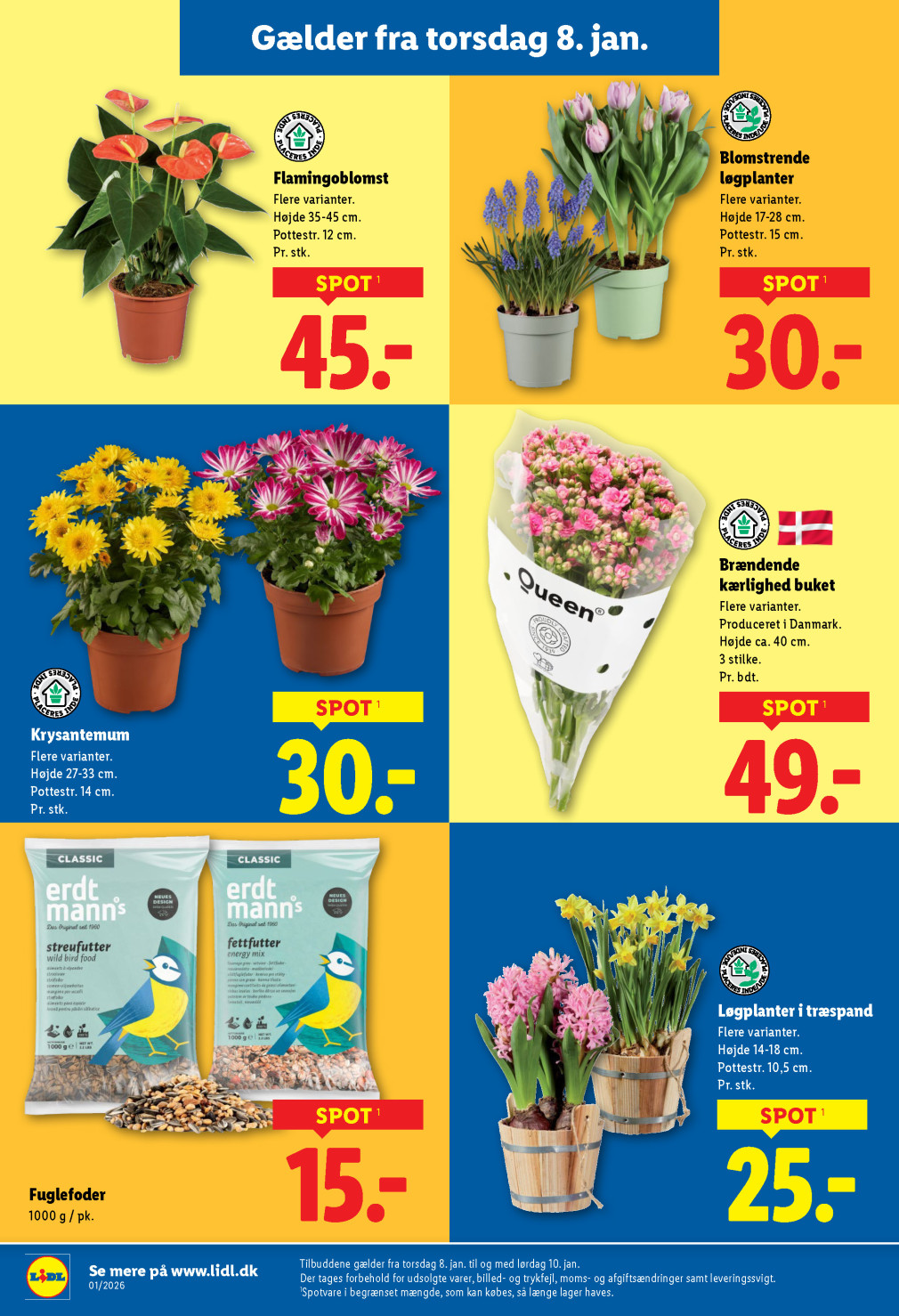 Lidl tilbudsavis fra 02.01.2026 Side.37 