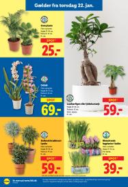 Lidl tilbudsavis fra 18.01.2026 Side.29 