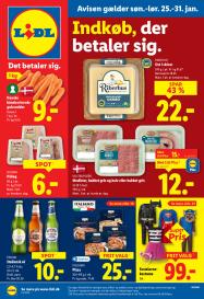 Lidl Gyldig fra  til  (det samlede antal sider) - 37