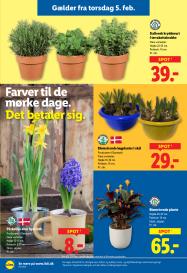 Lidl tilbudsavis fra 01.02.2026 Side.25 