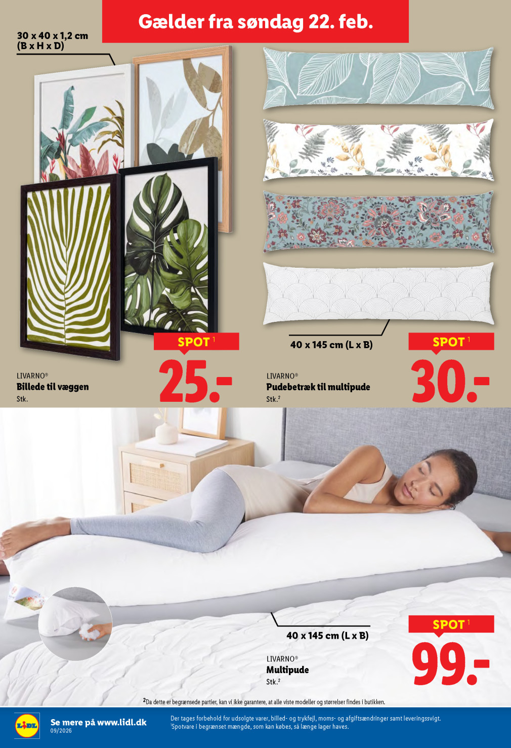 Lidl tilbudsavis fra 22.02.2026 Side.19 