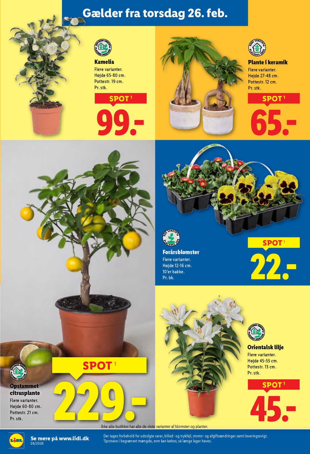 Lidl tilbudsavis fra 22.02.2026 Side.34 