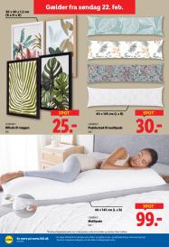 Lidl tilbudsavis fra 22.02.2026 Side.19 