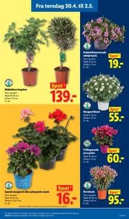 Lidl tilbudsavis fra 26.04.2026 Side.33 