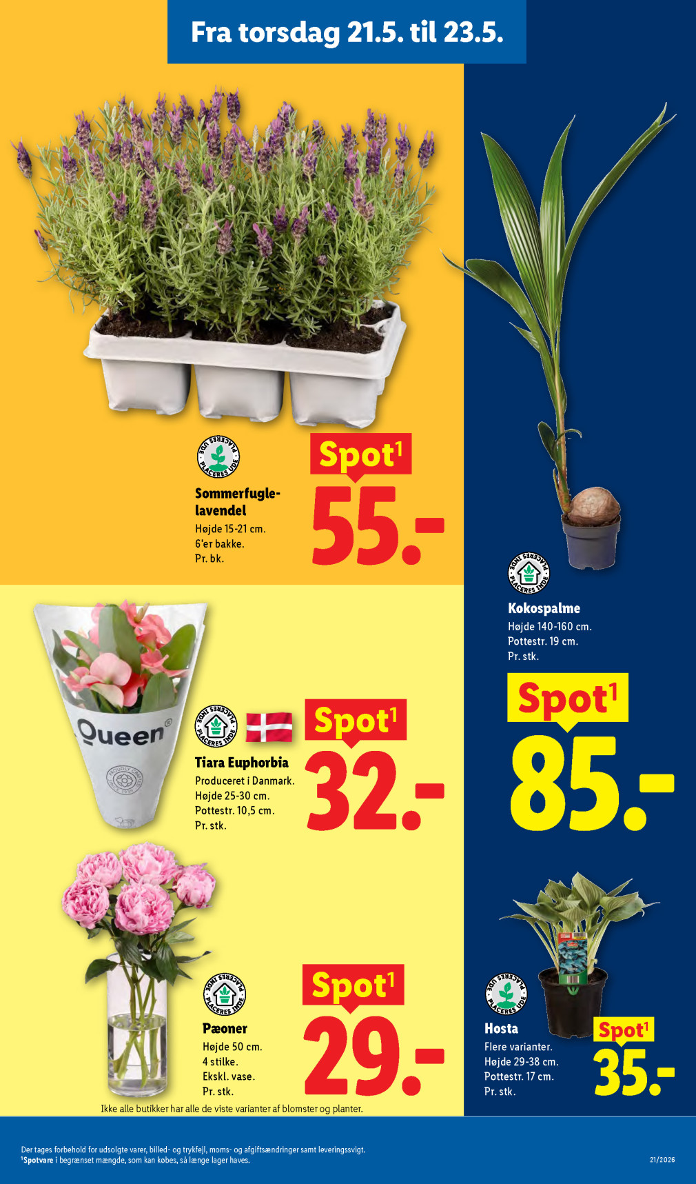 Lidl tilbudsavis fra 17.05.2026 Side.32 