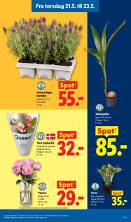 Lidl tilbudsavis fra 17.05.2026 Side.32 