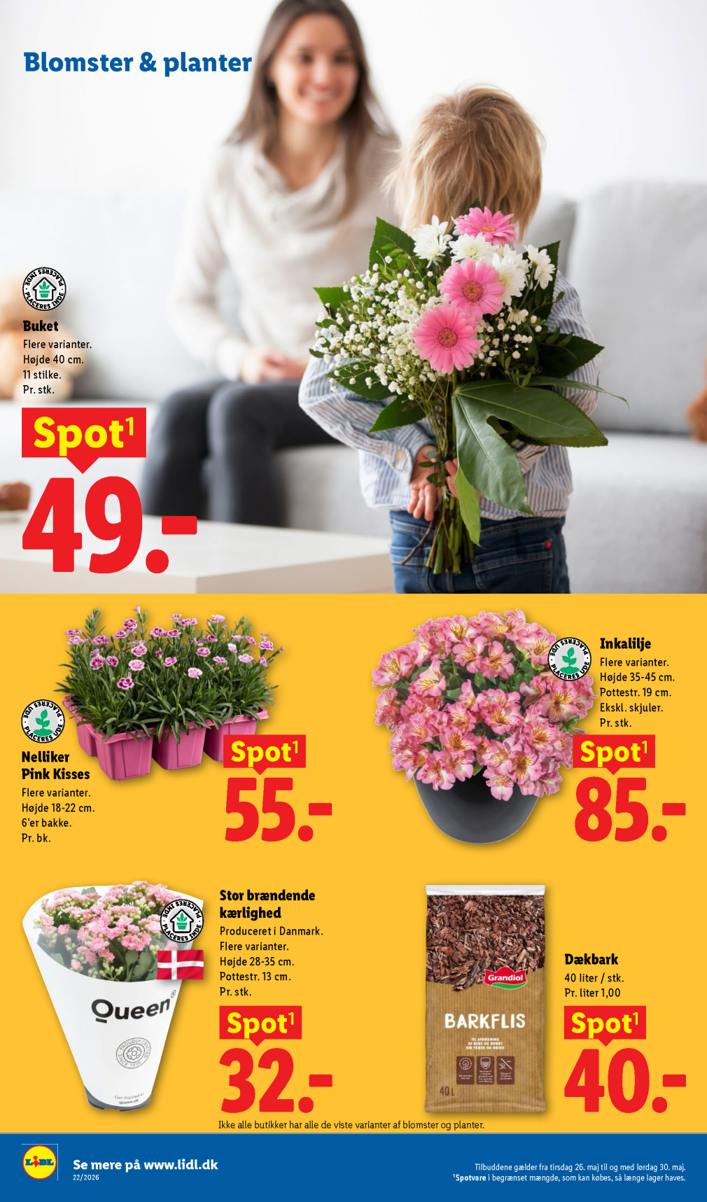 Lidl tilbudsavis fra 26.05.2026 Side.36 