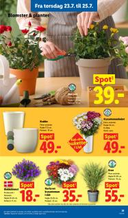 Lidl tilbudsavis fra 19.07.2026 Side.32 