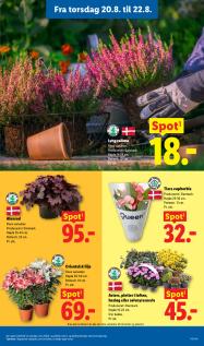 Lidl tilbudsavis fra 16.08.2026 Side.34 