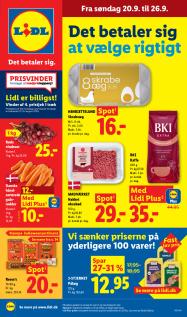 Lidl Gyldig fra  til  (det samlede antal sider) - 41