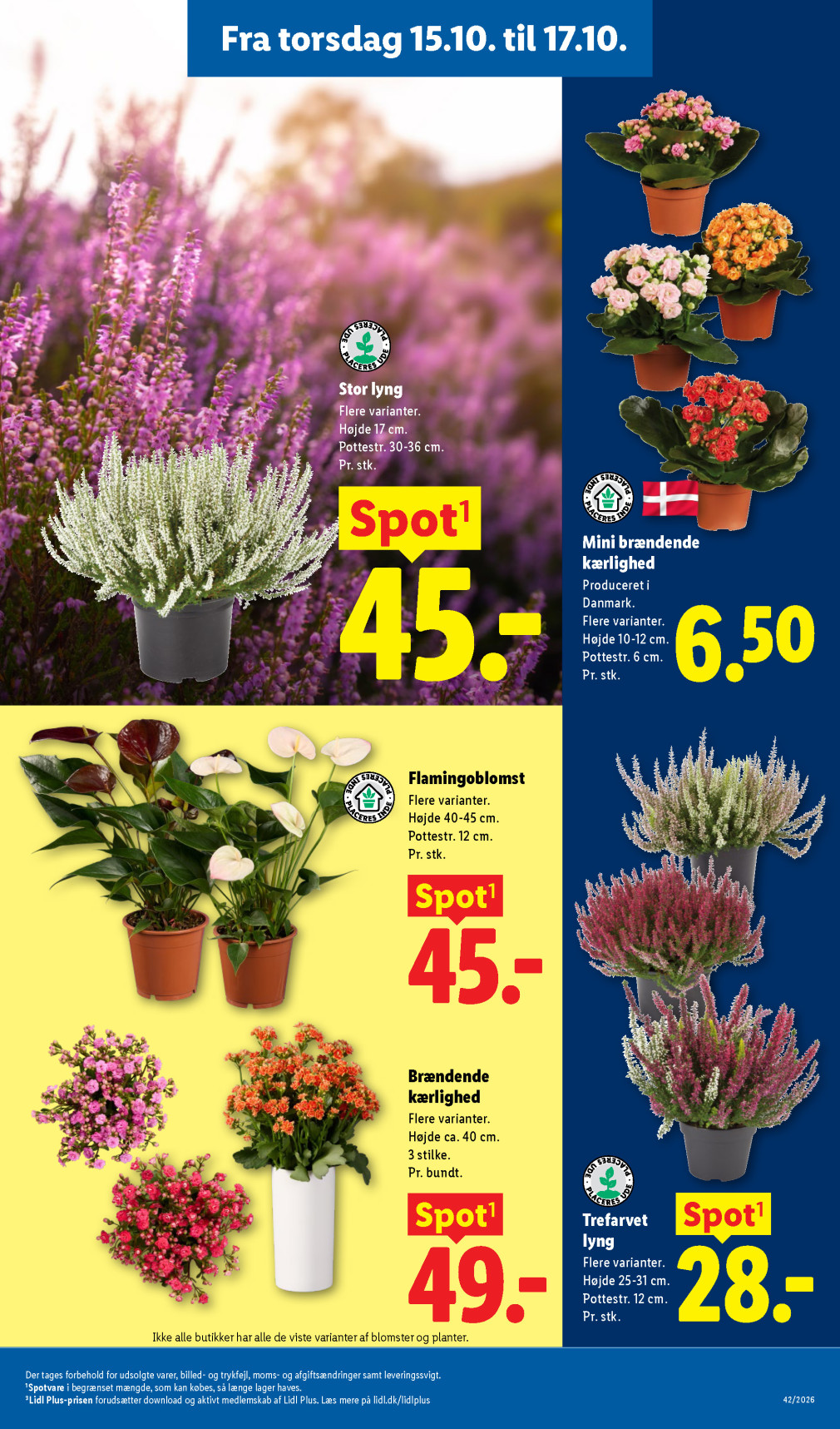 Lidl tilbudsavis fra 11.10.2026 Side.35 