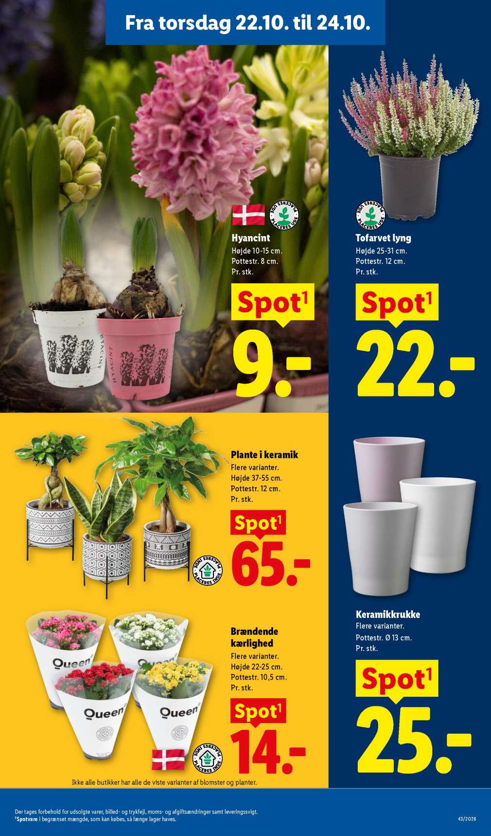 Lidl tilbudsavis fra 18.10.2026 Side.32 