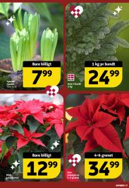 Løvbjerg tilbudsavis fra 21.11.2025 Side.25 