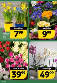 Løvbjerg tilbudsavis fra 20.02.2026 Side.16 