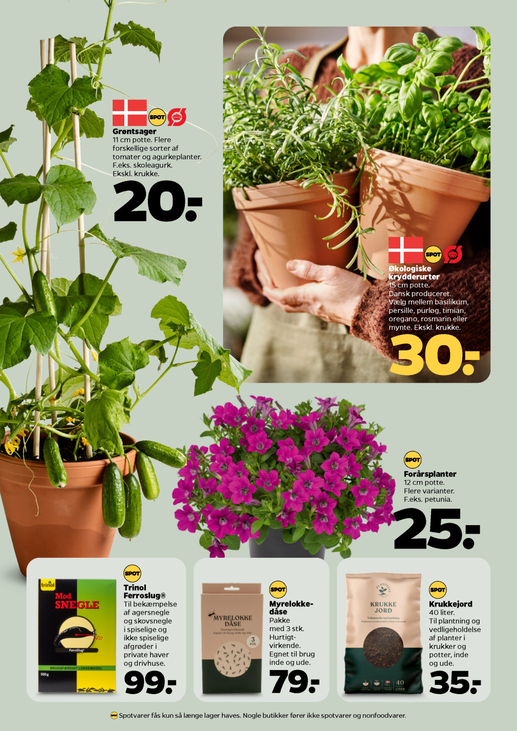 Netto tilbudsavis fra 10.05.2025 Side.32 