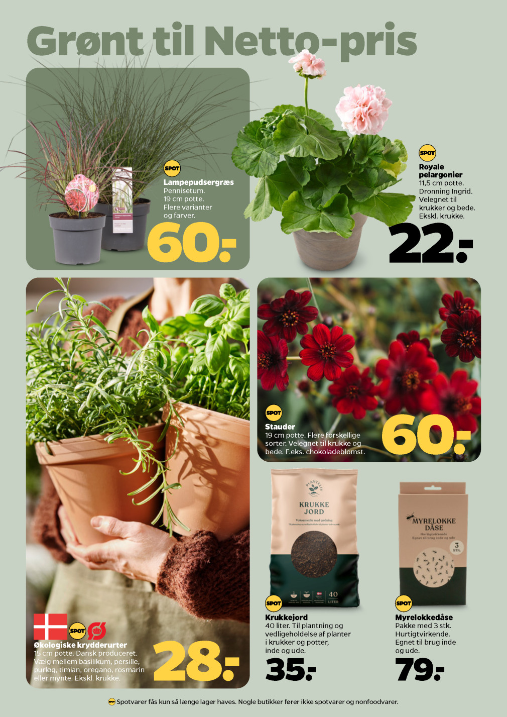 Netto tilbudsavis fra 21.06.2025 Side.31 