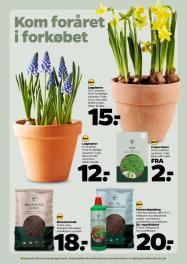 Netto tilbudsavis fra 31.01.2026 Side.27 