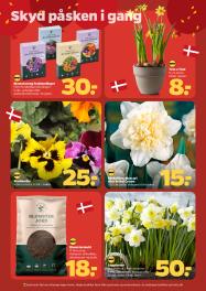 Netto tilbudsavis fra 28.02.2026 Side.29 