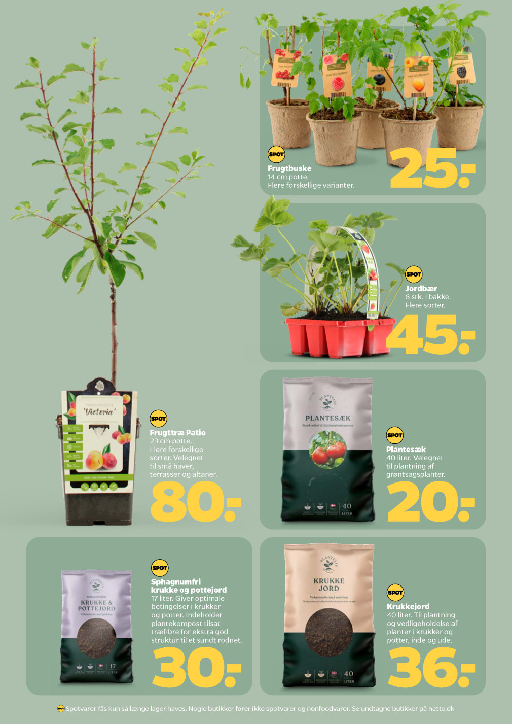 Netto tilbudsavis fra 21.03.2026 Side.31 