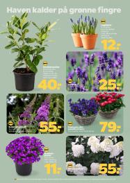 Netto tilbudsavis fra 21.03.2026 Side.30 