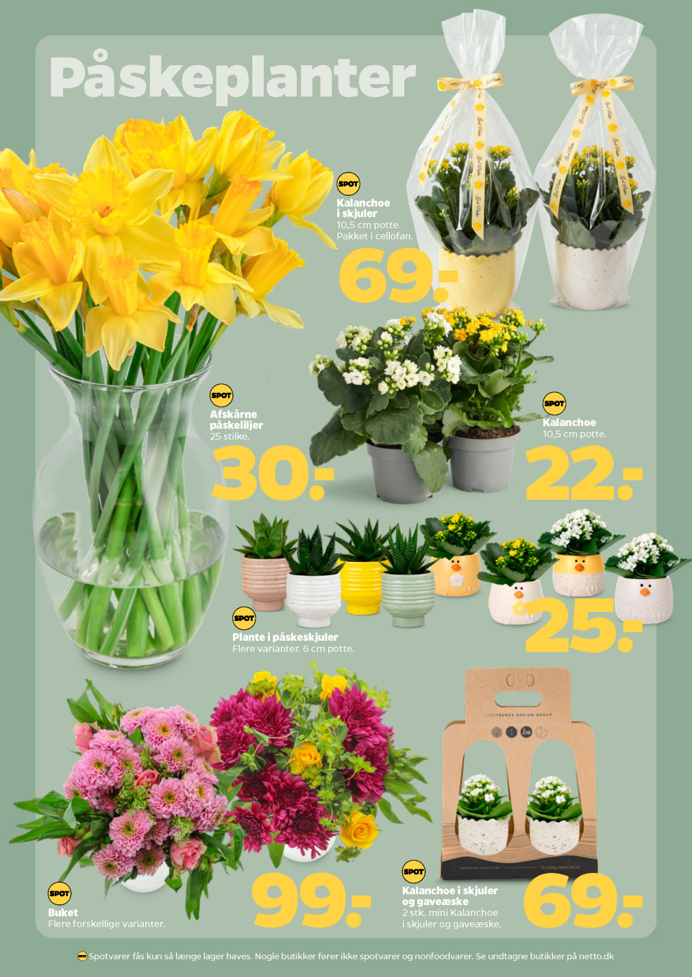 Netto tilbudsavis fra 28.03.2026 Side.31 