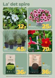 Netto tilbudsavis fra 18.04.2026 Side.25 