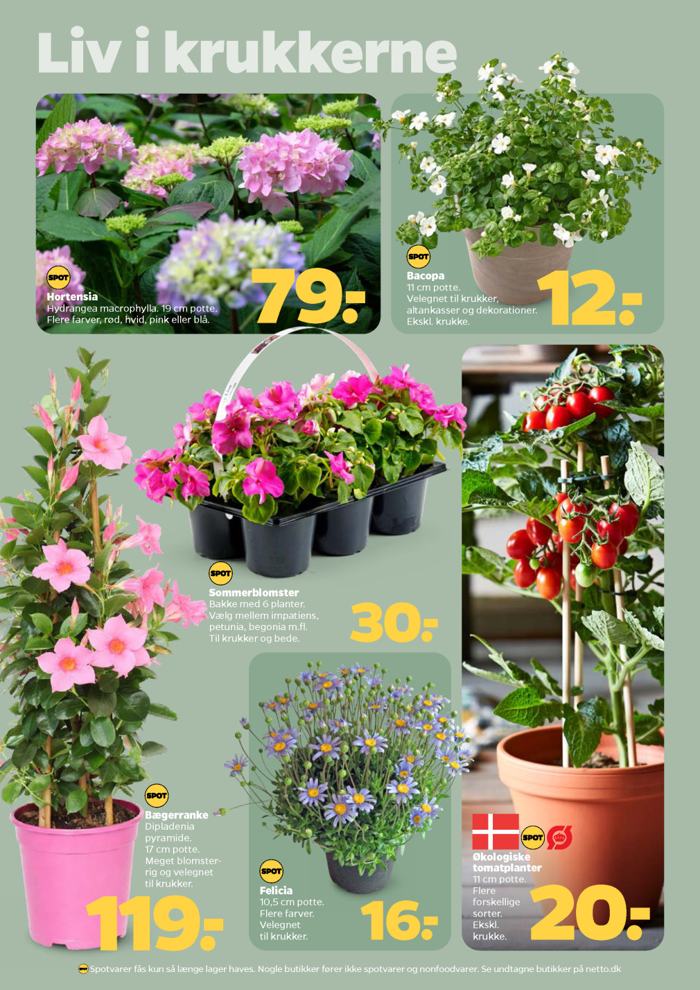 Netto tilbudsavis fra 02.05.2026 Side.32 