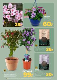 Netto tilbudsavis fra 02.05.2026 Side.33 